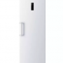 HAIER H2F-255WSAA Tall Freezer - White